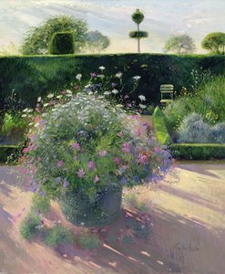 Derniers rayons autour du cuivre - Timothy Easton