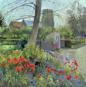 Tulipes rouges et église de Bedfield