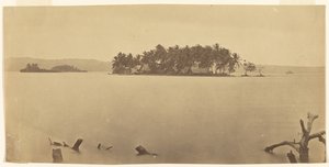 [Isthme de Darién (Panama)] - Timothy H. O