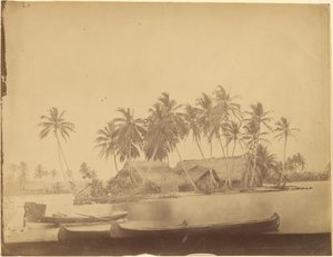 [Baie de Limón, isthme de Darién (Panama)]