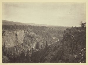 North Fork Cañon, Sierra Blanca Creek, Arizona - Timothy O