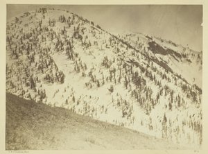 Snow Peaks, district minier de Bull Run, Nevada - Timothy O
