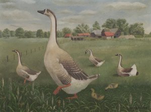 Où vas-tu errer ? - Tirzah Ravilious