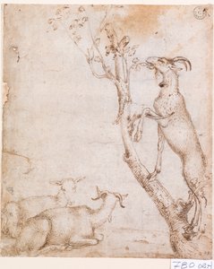 Chèvres au pâturage - Titian (c.1488 1576)