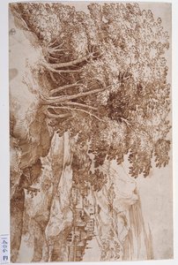 Paysage avec des arbres à gauche et une ville en arrière-plan - Titian (c.1488 1576)