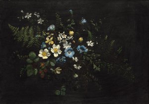 Branche de fleurs et fougères, date inconnue - Titian Ramsay Peale