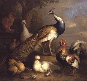 Paon, paonne et volaille dans un paysage
