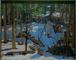 Hiver dans les bois
