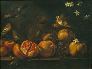 Nature morte avec grenades, raisins, oiseaux et écureuil