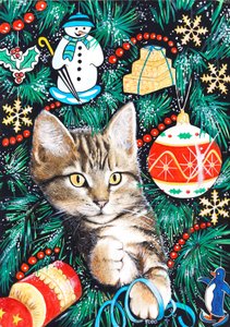 Chaton de Noël tigré