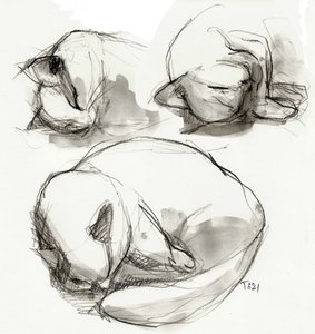 Études sur les chats endormis - Tore Bahnson