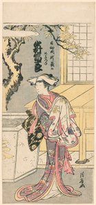 Nakamura Tomijuro I en renarde dans la scène de la pièce, Chigo Torii Tobiiri Gitsune (Nakamura Tomijuro no Hyuga no kuni Ubagatake no megitsune) - Torii Kiyonaga
