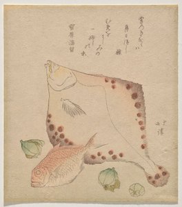 Plie, dorade avec des bourgeons de fukujus? - Totoya Hokkei