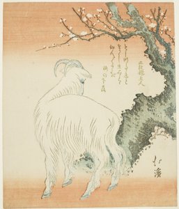 Chèvre sous un prunier - Totoya Hokkei