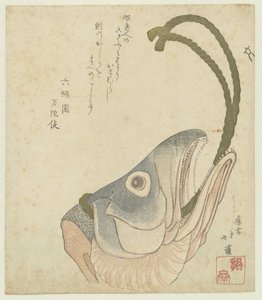 Tête de saumon