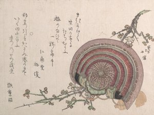 Casque et fleurs de prunier