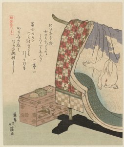 Kimono avec lapin