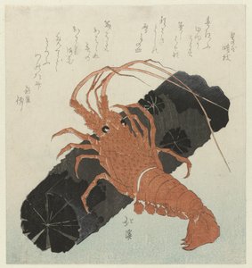 Homard avec du charbon de bois