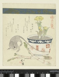 Rat et bol avec Adonis - Totoya Hokkei