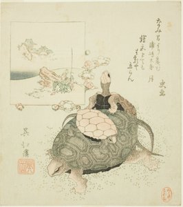 Tortues de mer et Urashima Taro