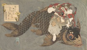 Shiei sur sa carpe