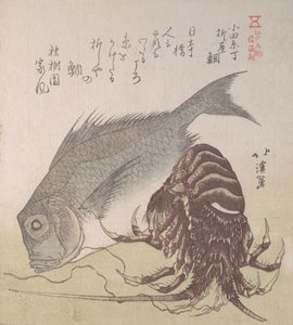 Tai Fish et homard, spécialités de Yanagiya à Odawara-cho