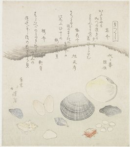 Coquille oubliée, coquille de fleur de prunier et coquille de cerisier - Totoya Hokkei