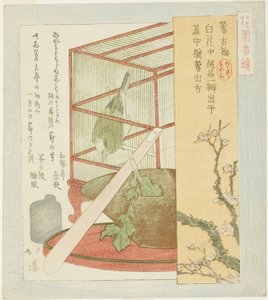 Fauvette en cage, de la série "Une série pour le groupe Hanazono (Hanazono bantsuzuki)" - Totoya Hokkei
