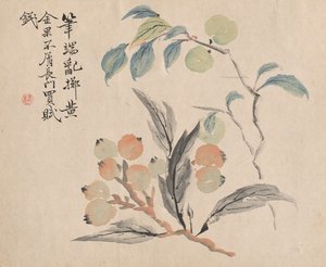 Néflier du Japon