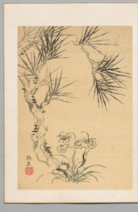 Pin et champignon, 19e siècle - Tsubaki Chinzan