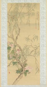 Petits oiseaux sur une branche de saule et fleurs d