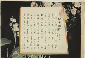 Page d