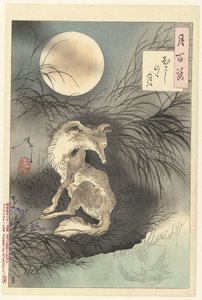 Lune de Musashi - Tsukioka Yoshitoshi