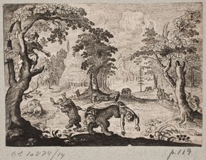 Hommes attaqués par des ours