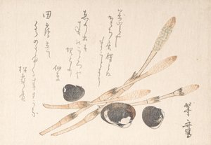Plante Tsukushi et coquilles Shijimi - Uematsu Toshu