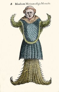 Le moine de mer, poisson imaginaire et monstre marin par Ulisse Aldrovandi (1522-1605), "Monstrorum Historiae", Bologne 1642