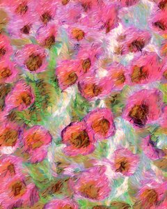 Fleurs roses de rêve - Uma Gokhale