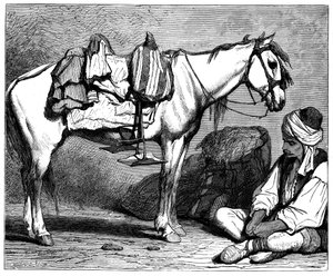 Un paysan bosniaque