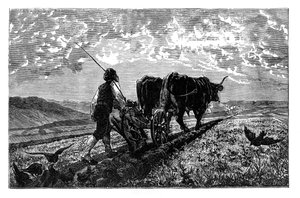 Un agriculteur français, vers 1890