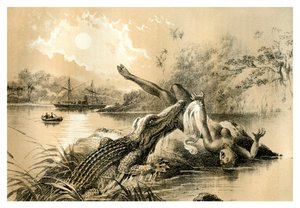Un incident effrayant, 1883 - Unbekannt