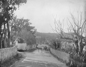 Une route à Port Royal, Bermudes, 19e siècle