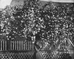 Une maison décorée de roses, Californie du Sud, USA - Unbekannt