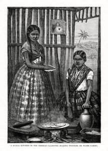 Une cuisine rurale dans les Tierras Calientes, Mexique, 1877 - Unbekannt