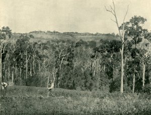 Ferme de montagne victorienne - Unbekannt