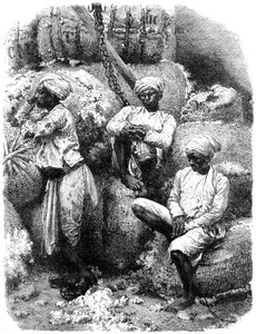 Un marché du coton à Bombay, Inde, 19e siècle