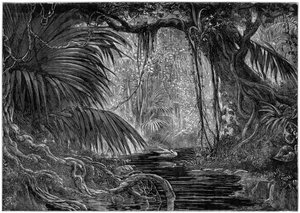 Scène de forêt au Pérou, 1877