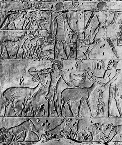 Scène de chasse du tombeau de Ptahhotep, près de Saqqarah, Égypte, vers 2650 av. J.-C., 1936