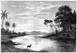 Scène de rivière au Venezuela, 1877