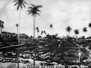 Action de PasoReal, 1896