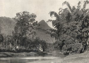 Adamspik von Gegend Maskeliya, 1926